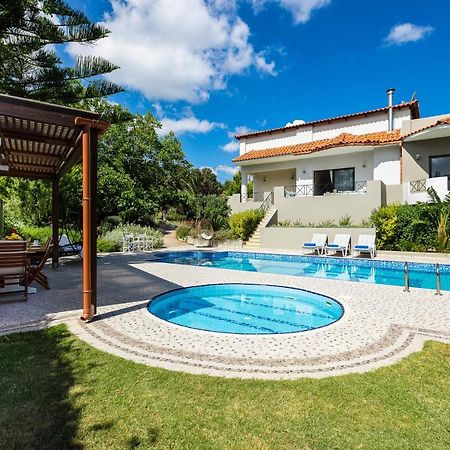 Alonia Villa, Refined Living With 50M2 Private Pool, By Thinkvilla Melidhónion エクステリア 写真